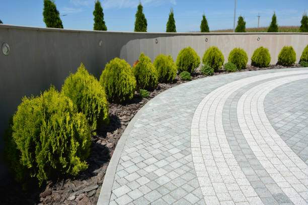 Best Decorative Driveway Pavers  in Old Jefferson, LA